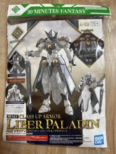 30MF クラスアップアーマー (リーベルパラディン)のサムネイル