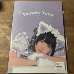 hazama チェキ ブロマイド 環やね 環やね ブロマイド2枚セット＋缶バッジ - メルカリ