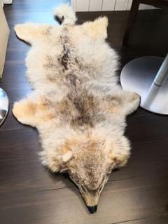シベリアオオカミと思われるお土産毛皮 敷物