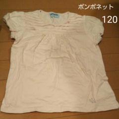 ポンポネット Tシャツ