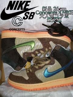 新品 CONCEPTS NIKESB DUNK HIGH PRO MALLARD