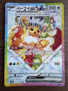 まとめ売り！テラスタフェスSAR（おまけ付き！） ハイクラスパック「テラスタルフェスex」 – 晴れる屋2