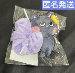 RIIZE ウォンビン トニャンドク ペンラカバー シュシュ ミニドール RIIZE ウォンビン トニャンドク ペンラカバー シュシュ - メルカリ