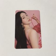 2025年最新】red velvet シーグリの人気アイテム - メルカリ