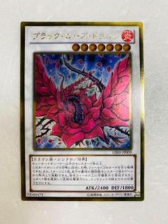 遊戯王 ブラック・ローズ・ドラゴン　ゴールドレア