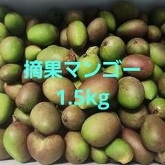 2025年最新】摘果マンゴーの人気アイテム - メルカリ