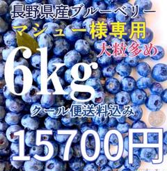 マシュー　長野県産 ブルーベリー 6kg 大粒多め マシュー様専用 長野県産 ブルーベリー 6kg 大粒多め - メルカリ
