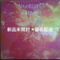 Qwer algorithm’s blossoms 未開封アルバム①