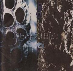 Hamlet Machine/Evil Flower デルジベット CD