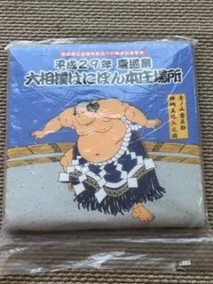 大相撲はにぽん本庄場所 平成29年 夏巡業 座布団