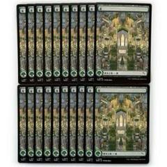 専用出品 MID VOW NEO 日本語 フルアート 基本土地 基本地形 神河：輝ける世界/基本土地の商品検索 | 日本最大級 MTG通販