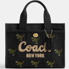 2025年最新】coach レキシーの人気アイテム - メルカリ