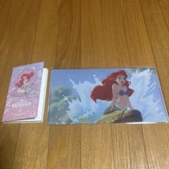 新品未使用　オーマイカフェ　アリエル　マルチケース　メモパッド