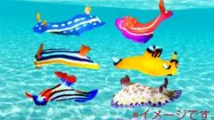 綺麗な ウミウシ アメフラシ モビール 海の宝石