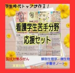メルカリショップでも販売中！　大容量　看護学生　看護師の為の秘密のUSB 2025年最新】看護実習 usbの人気アイテム - メルカリ