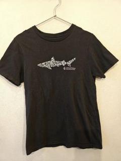アメリカ自然史博物館HUMAN BIOLOGY & EVOLUTION Tシャツ Yahoo!オークション - American Museum of Natural History
