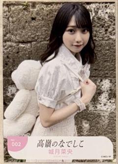 高嶺のなでしこ 城月菜央 直筆チェキ 高嶺のなでしこ 城月菜央 プレギフ 10連特典 ランダムフォト