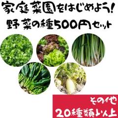 秋まき野菜の種 500円セット【C】ハーブとサラダセット