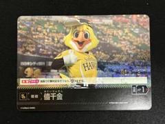 ドリームオーダー　ソフトバンク　値千金　プロモ　シリアル
