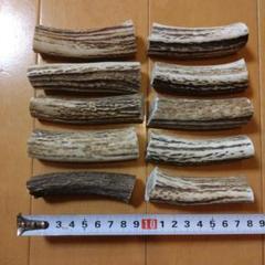 鹿の角 リング 10個入り 北海道産 アクセサリー クラフト材