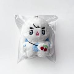 SEVENTEEN スンチョル S. COUPS 5cm ぬいぐるみ 2025年最新】seventeen エスクプス ぬいぐるみの人気アイテム