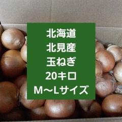た〜っぷり玉ねぎ20キロ 使い切りサイズ20