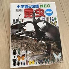 昆虫