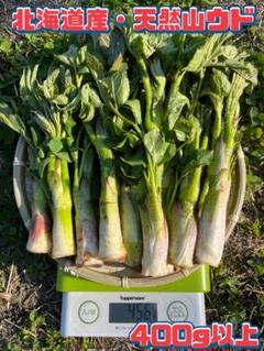 北海道産天然山ウド。5キロ UP。増量発送。 imgrc0278849212.jpg