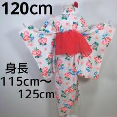 レトロ　キッズ　子供　浴衣　120cm　女の子　リップル　朝顔　花柄　兵児帯　赤