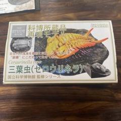 2025年最新】三葉虫 海洋堂 再現モデルの人気アイテム - メルカリ