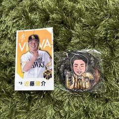 福岡ソフトバンクホークス 近藤健介 セット