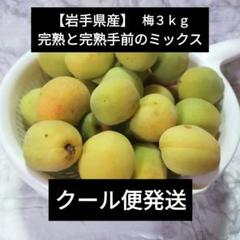 クール便でお届け【熊本県産】季節のお品物 梅 加工用 家庭用 規格外 20kg クール便でお届け【熊本県産】季節のお品物 梅 加工用 家庭