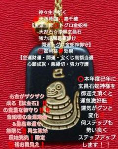 ⭕️高級鑑賞石蛇石⭕️超開運家の守り神蛇石 1.25キロ 限定完売宮崎⭕高千穂⭕金運厄除⭕天然石☆漆黒玄昌石☆黄金