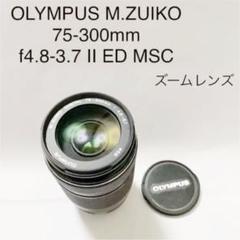 Mxhqwiwcswpnum