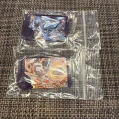 ポケモンフレンダ　4弾ST キュレム　テツノイワオ