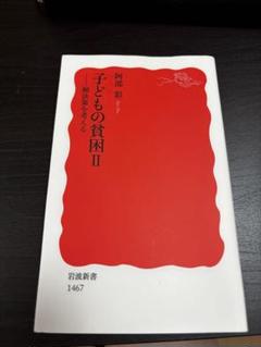 子どもの貧困 II 阿部 彩 岩波新書