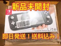 Nintendo Switch Lite グレー 送料込み!