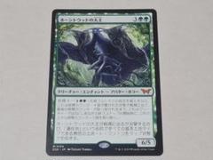 MTG DSK ホーントウッドの大主 foil サインド MTG DSK ホーントウッドの大主 foil サインド 買取相場】-MtG