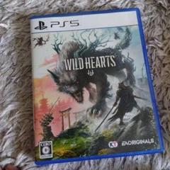 WILD HEARTS