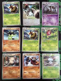XY BWのEX プロモカードまとめ売り グラードン カメックス