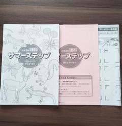 サピックス　小学3年　理科　サマーステップ