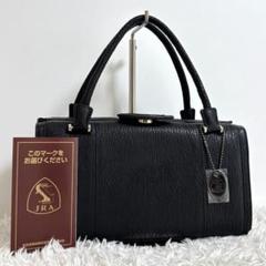 101 シャークスキン サメ 鮫革 ヴィンテージ レトロ ハンドバッグ グレー系 101 シャークスキン サメ 鮫革 ヴィンテージ レトロ