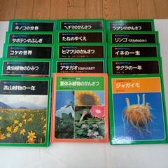 科学のアルバム・植物編（全１８巻セット） 新装版/あかね書房（単行本） 新装版】科学のアルバム(植物編) - あかね書房