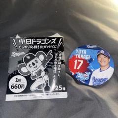 【匿名配送】未使用 中日ドラゴンズ 缶バッジ25種&BIGアクリルスタンドセット 25SNOOPY DRAGONS シークレット缶バッジ全10種｜郵便局のネット