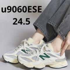 2025年最新】 ニューバランス 24.5 9060の人気アイテム - メルカリ