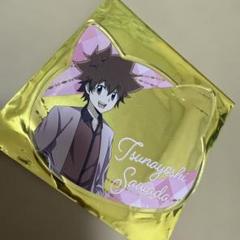 ナンジャタウン リボーン コースター ツナ