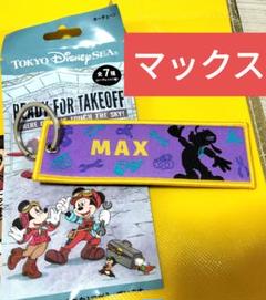 フライトタグ　ドリーム•テイク•フライト マックス 東京ディズニーシー