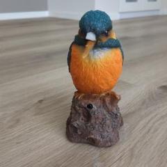 HotAnt カワセミ