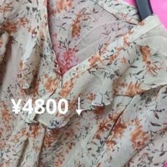 実質M-L【期間限定♥】ディーホリック　シアーブラウス　　¥4800↓