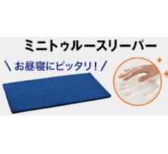 ミニトゥルースリーパー ごろ寝マット